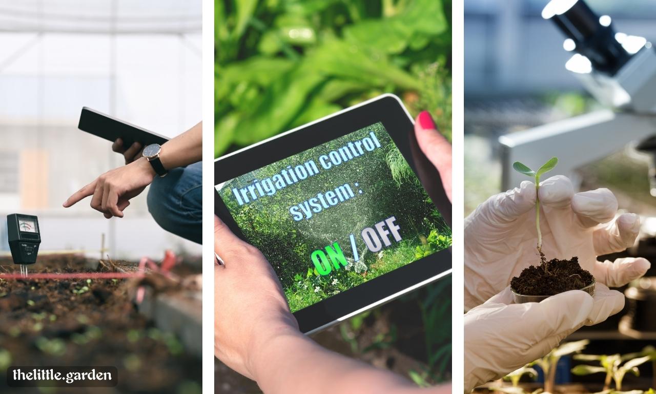 Ground covers for landscaping best ground cover for hillside slopes