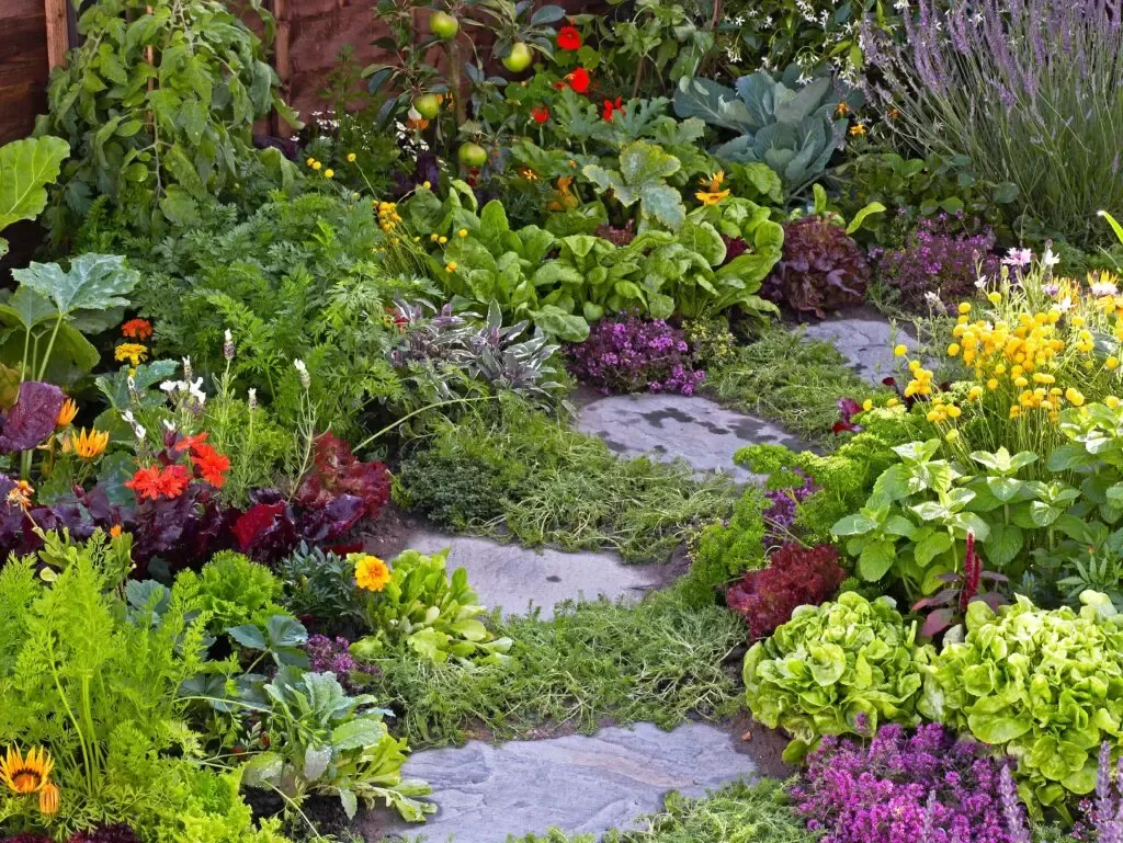 Colorful low-growing flowers lining a curved garden path