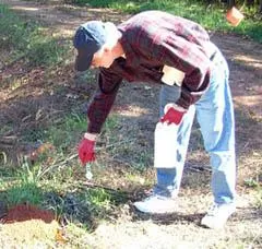 A person spreading granular ant bait.