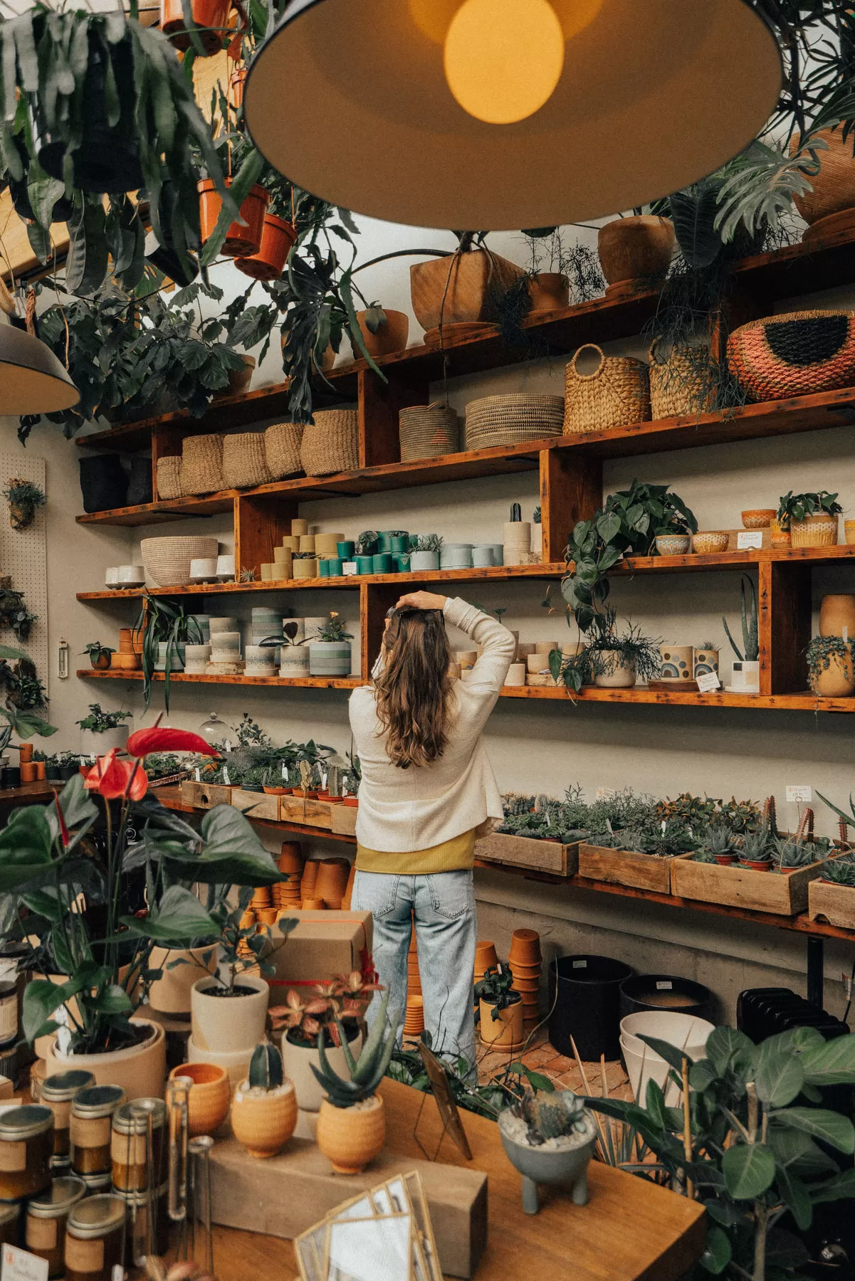 Interior view of a vibrant plant shop in Portland, showcasing a wide variety of healthy green houseplants.