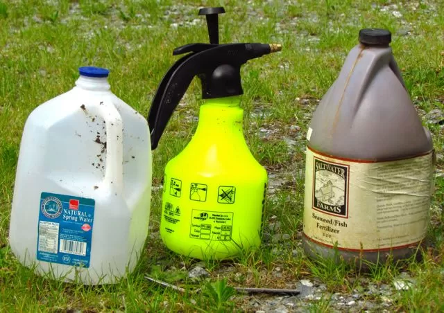 Foliar feeding tools, including a jug of fertilizer, measuring spoon, and hand sprayer.