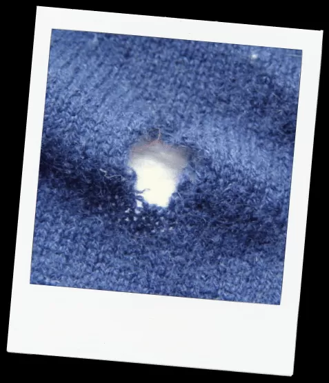 Close-up of holes in a red woolen garment, a common sign of clothes moth damage.