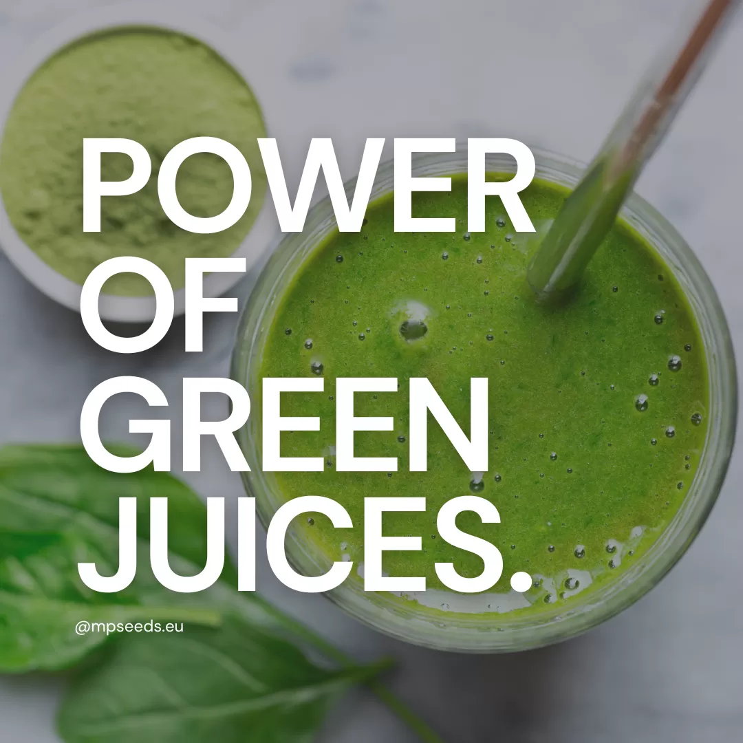 Variety of fresh microgreens and ingredients for making healthy smoothies and juices.