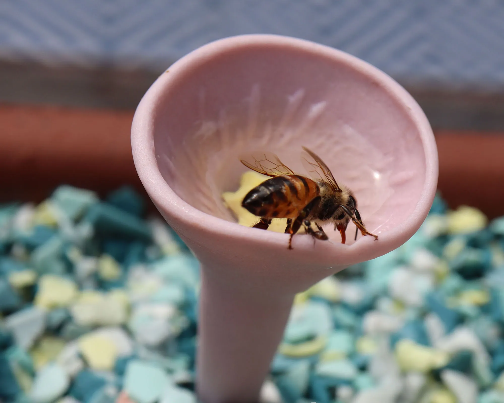 Bee resting on a textured porcelain bee cup