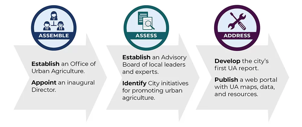 An infographic style image lists three steps: 1- Establish an Office of Urban Agriculture, Appoint an inaugural Director. 2- Establish an Advisory Board of local leaders and experts, Identify City initiatives for promoting urban agriculture. 3- Develop the city's urban agriculture report, portal, and plan.