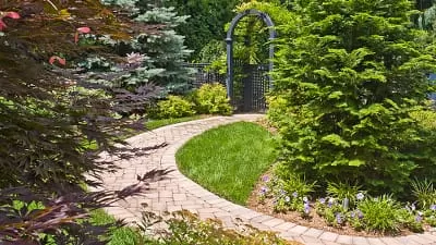 A charming gravel garden walkway winding through lush planting beds, showcasing a classic landscape path design.