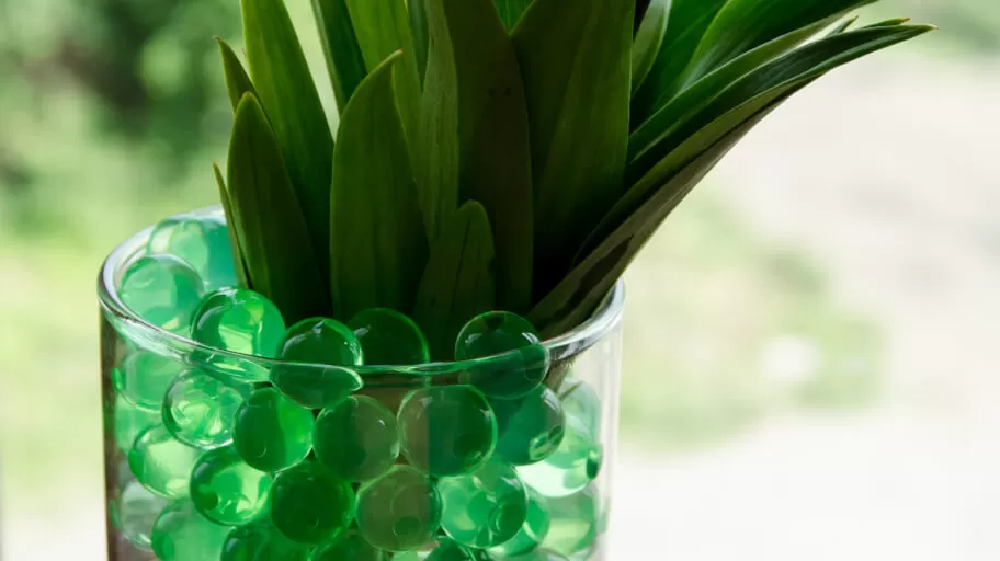 How to Grow Plants with Water Crystals