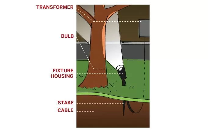 Diagram showing a landscape uplight fixture installed at the base of a tree, illustrating a low-voltage outdoor lighting system connection.