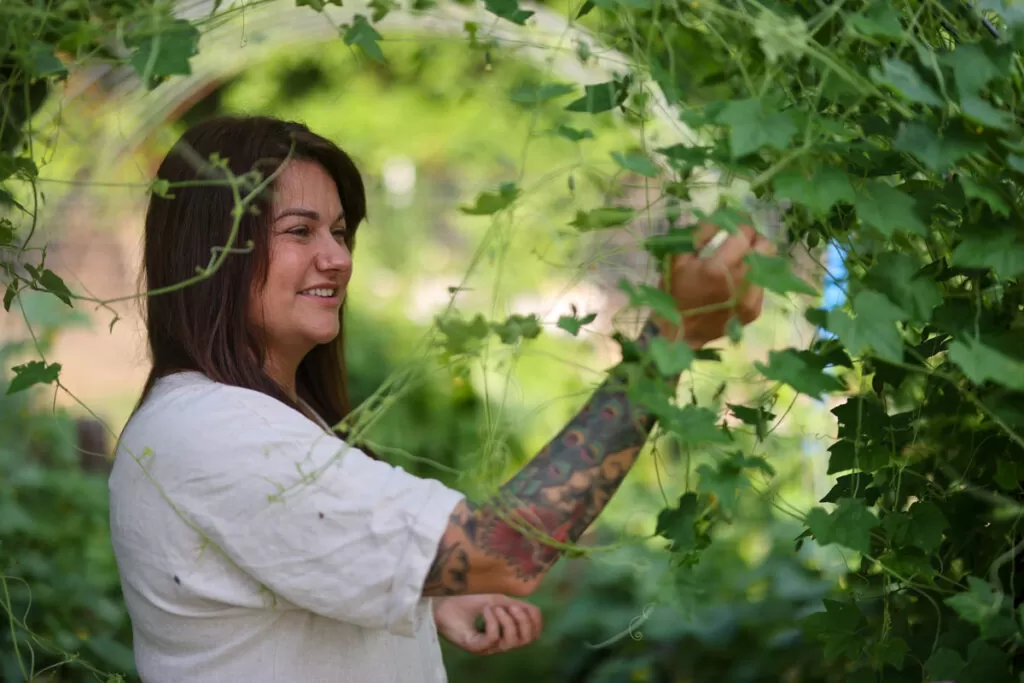 A gardener harvests beans from a metal cattle panel trellis in a sunny garden.