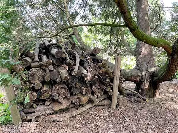 Stacked logs and garden debris decomposing naturally at a botanical garden, demonstrating regenerative waste use
