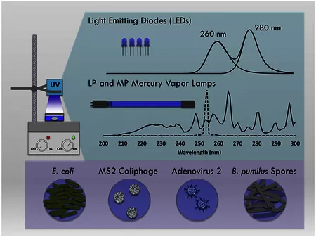 Graphic abstract showing different UV light sources and their target microorganisms.