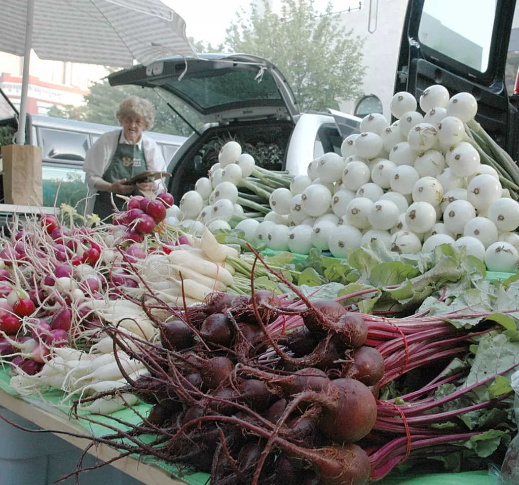 Freshly harvested onions bundled and displayed in abundance at a farmers market stall, demonstrating the payoff of successful staggered planting for a continuous yield.