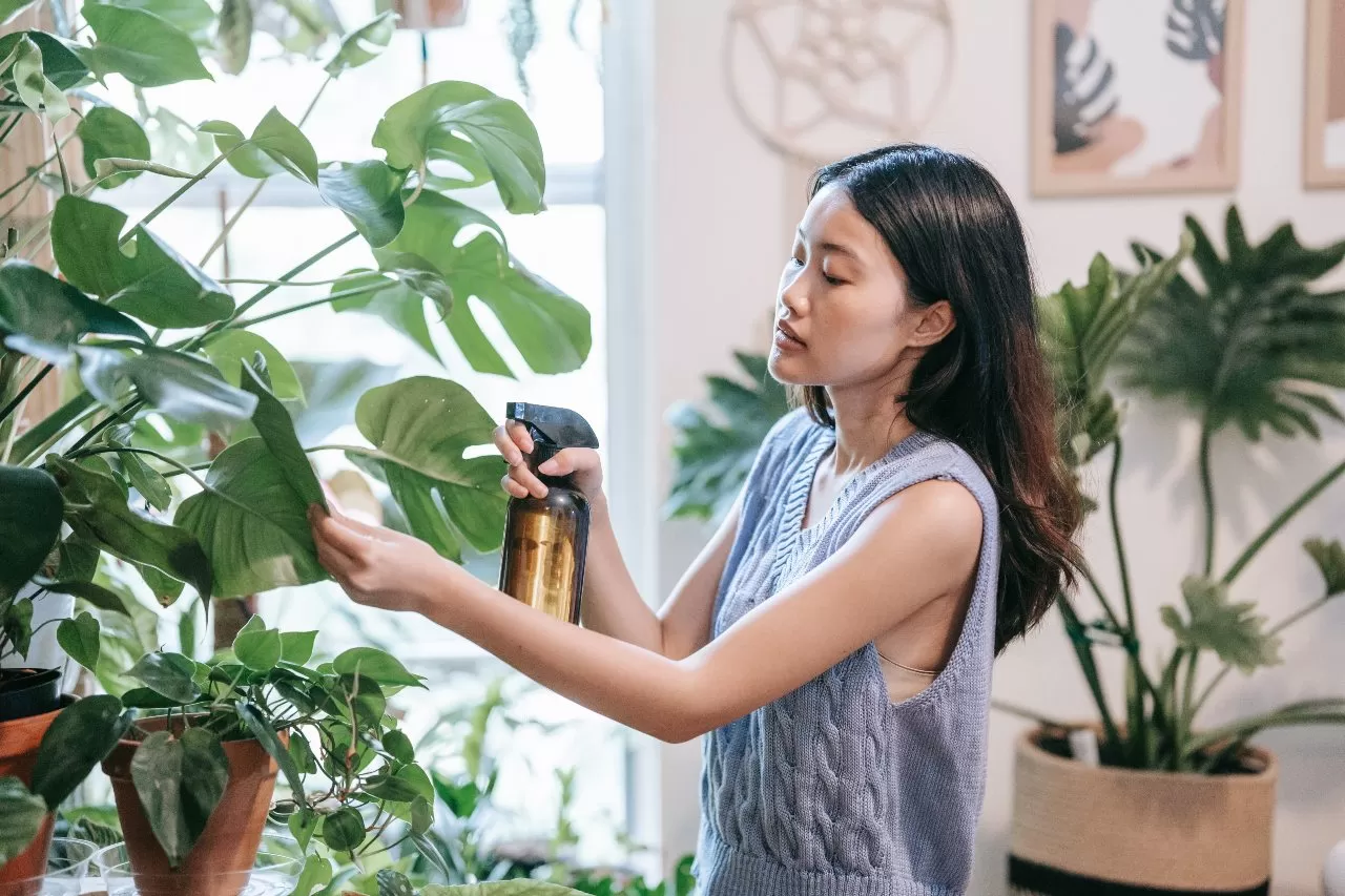 Selection of household ingredients for DIY natural pesticides