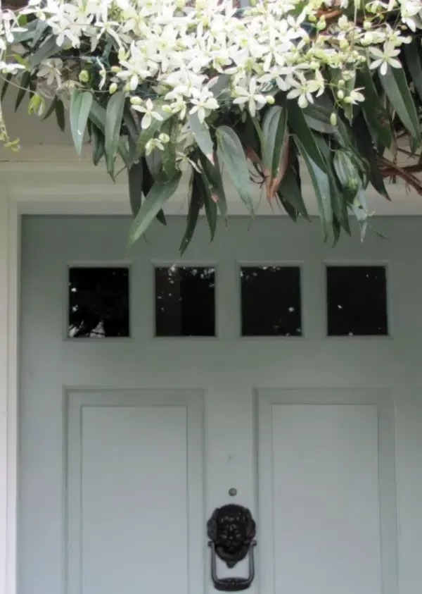 Inspirational image of a welcoming home entrance with white doors and a blooming Clematis vine framing the entrance