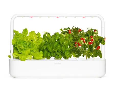 Kit De Jardinage D'Intérieur Pour Enfants - Boîte De Démarrage Avec Pots, Graines Pour Fleurs Et Légumes - Jeu Éducatif Et Scientifique