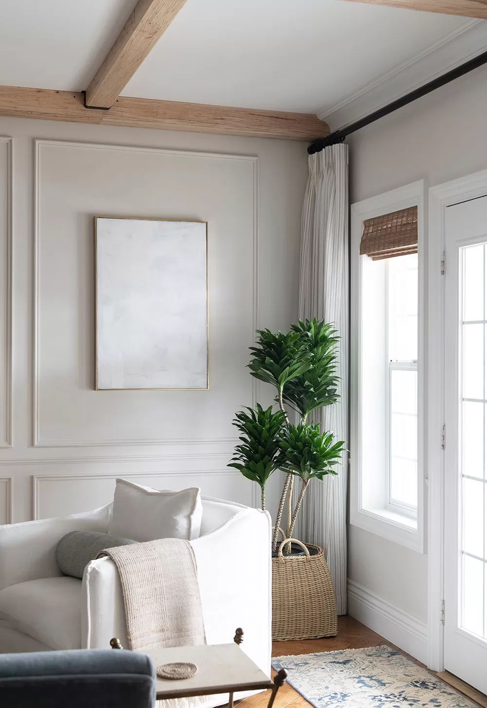 Assortment of best indoor plants thriving in low light conditions for summer