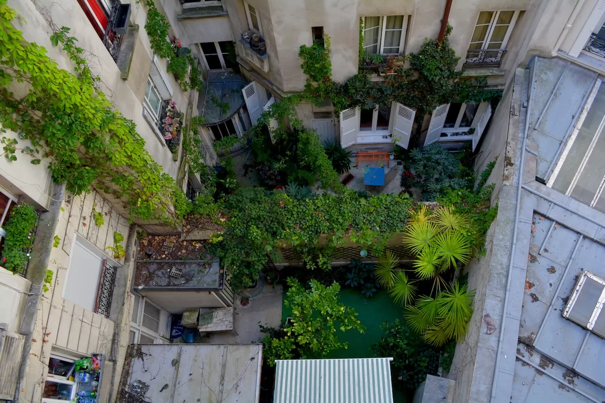 A vibrant rooftop garden in an urban setting, showcasing various plants and greenery thriving amidst city buildings, illustrating urban gardening potential.