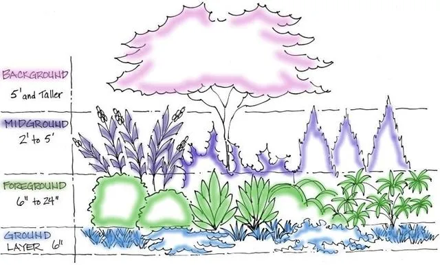 Diagram showing effective vertical layered greenery groupings in a garden bed, with low plants at the front and progressively taller shrubs and trees towards the back