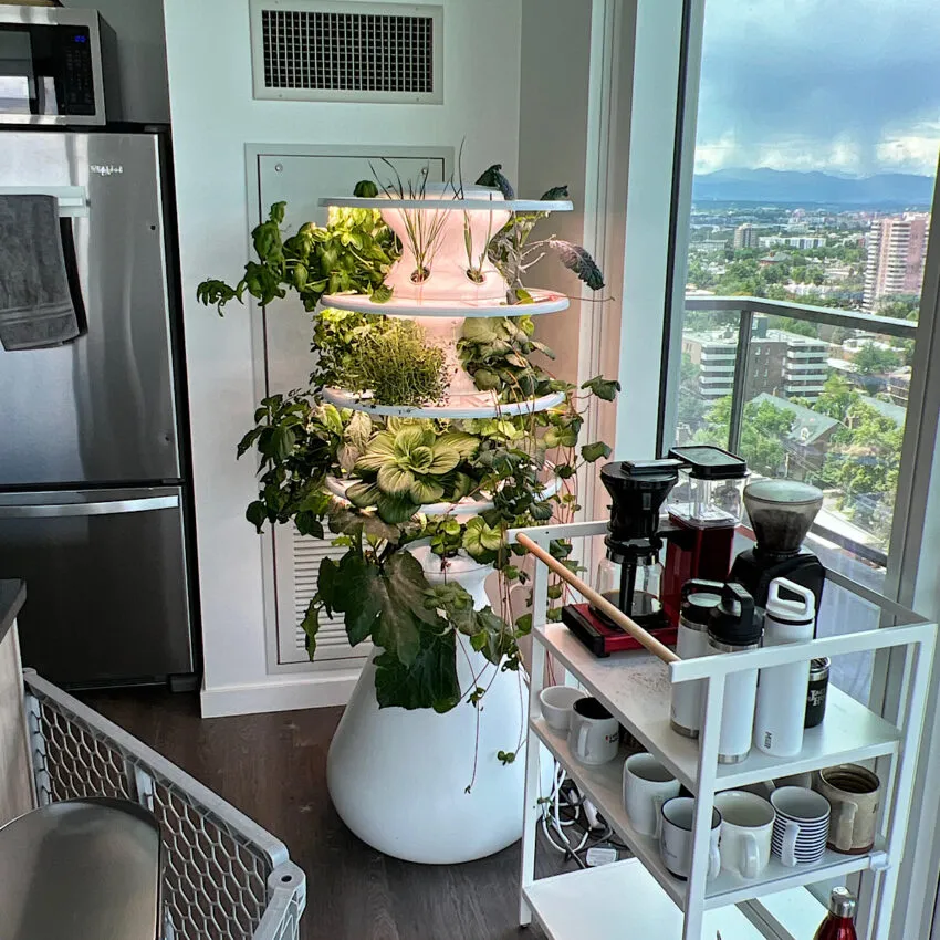 A tall indoor hydroponic vertical garden system growing lush green edible plants on multiple levels.