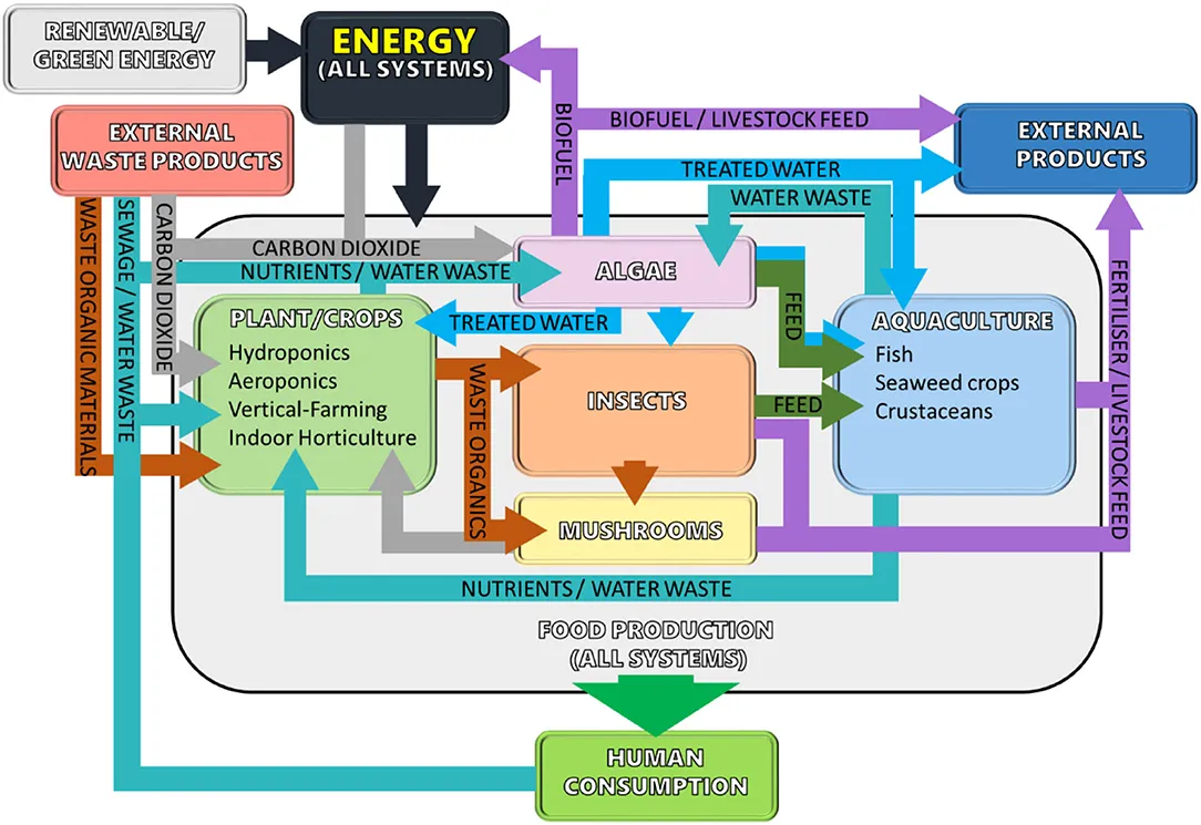 Theoretical Integrated System Controlled Environment Agriculture (ISCEA) approach diagram illustrating nutrient recycling loops between different production systems like plants, fish, insects, algae, and mushroom farming to achieve a circular economy.
