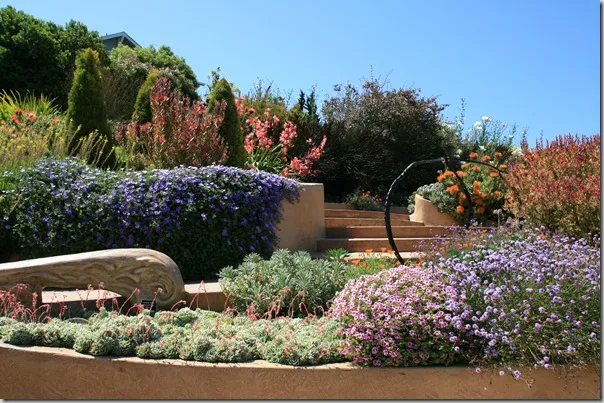 A tranquil garden patio with structured greenery and a limited, calm color palette