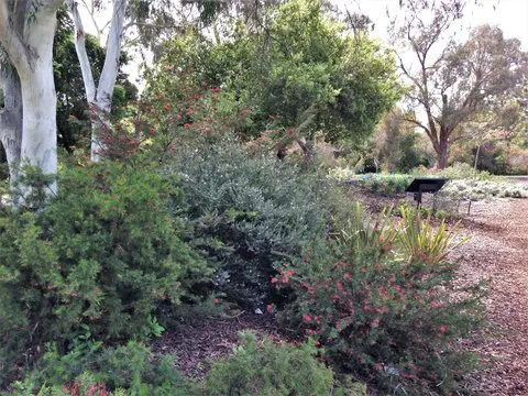 Mediterranean section of the Water-wise Garden